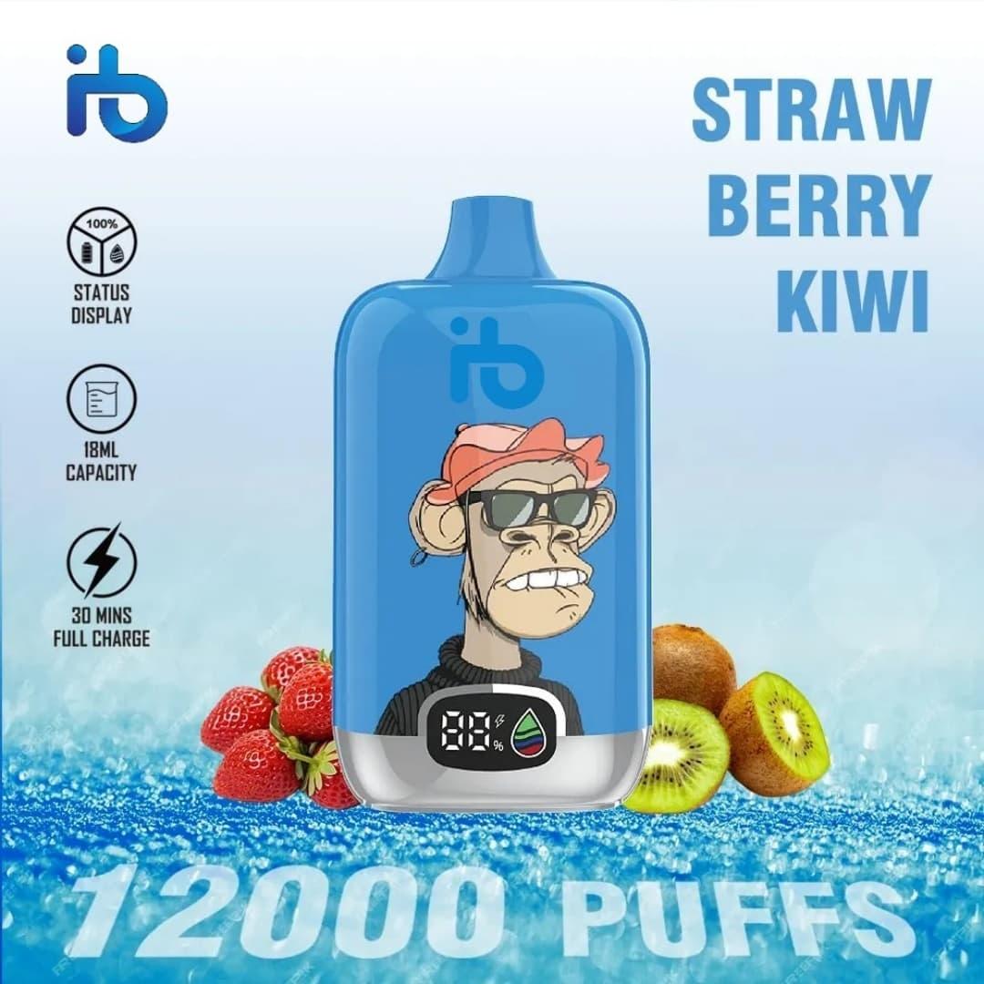 IBvape Practical Review IBvape and electronic cigarette lighter wall mounted Installations for Modern Homes